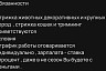 В Саратове за стрижку собак готовы платить 60 тысяч рублей
