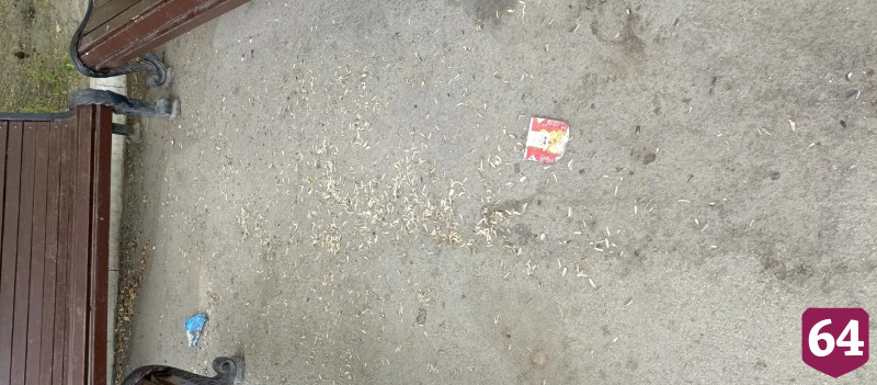 Саратовцы не вняли призывам чиновников не мусорить в парках 